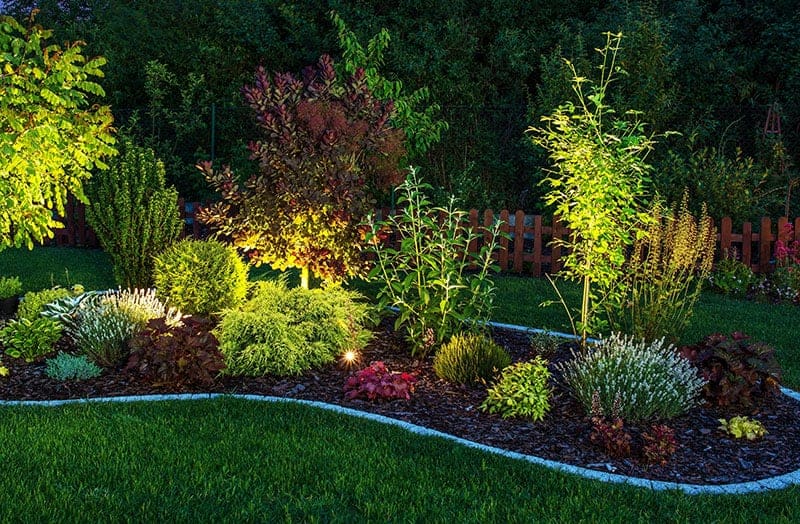 Landscape lighting in Houston