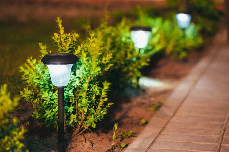 Spike garden lamps along the walkway