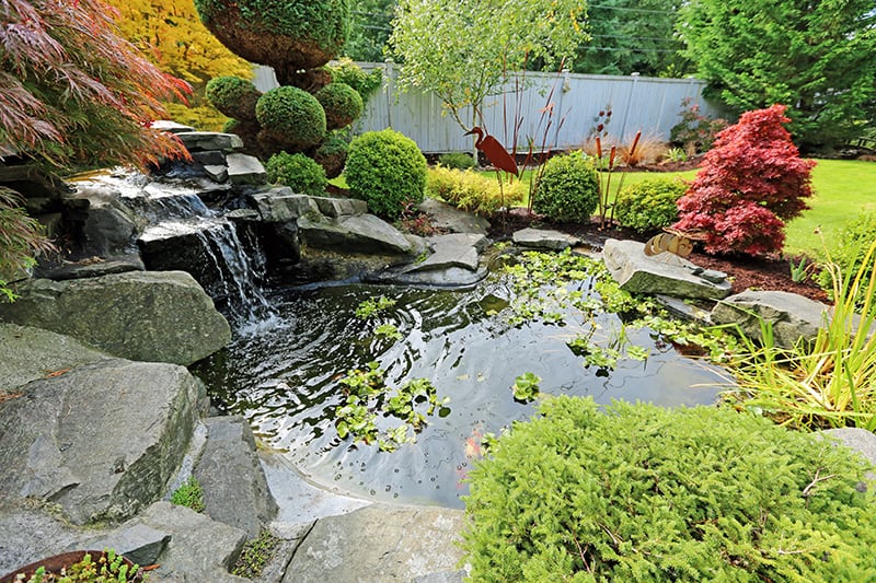 Cascading Water Pond