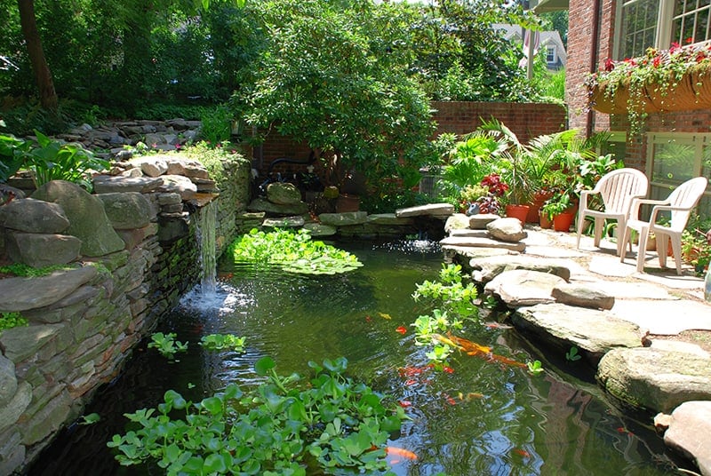 Cascading Water Pond