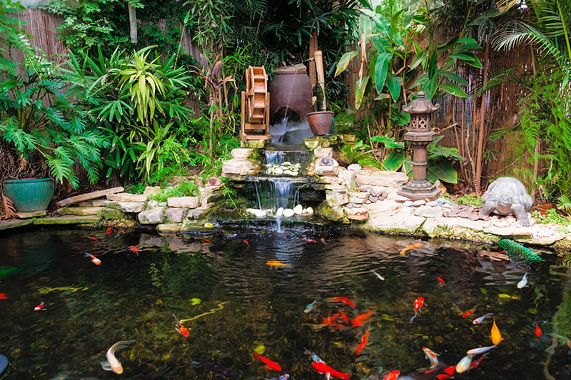 Decorative Pond