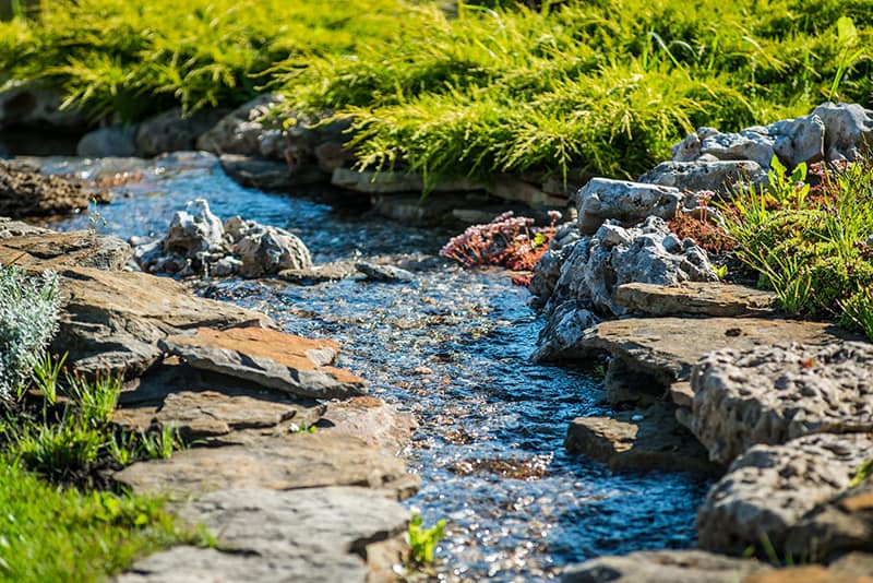 Flowing Pond Stream