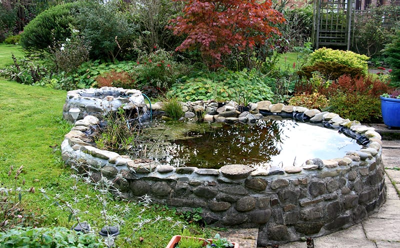 Half-Sunken Pond