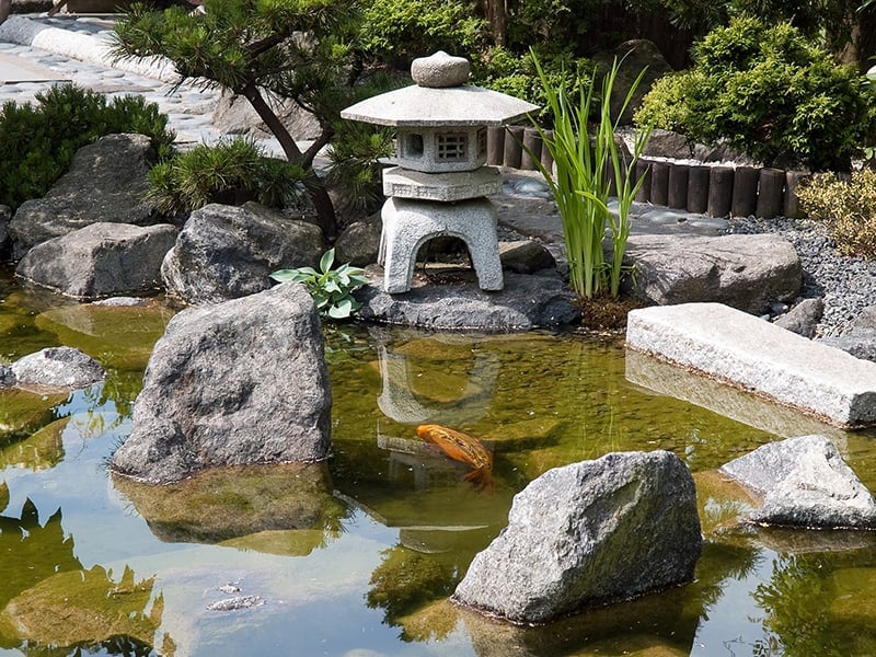 Japanese Ornamental Pond