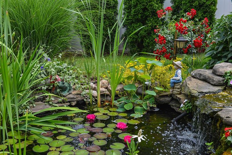 Lush, Lively Pond