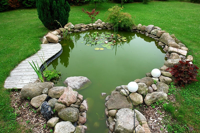 Pond Amongst Lawn