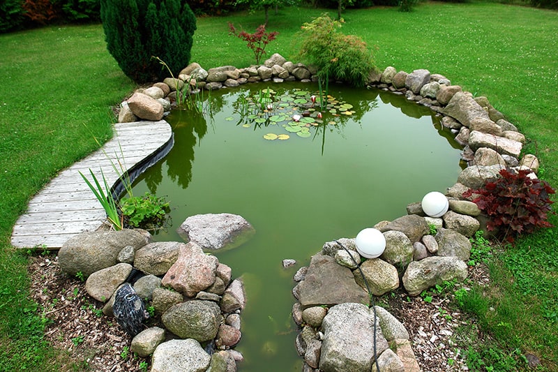 Pond Amongst Lawn