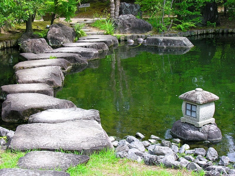 Stepping Stone Pond
