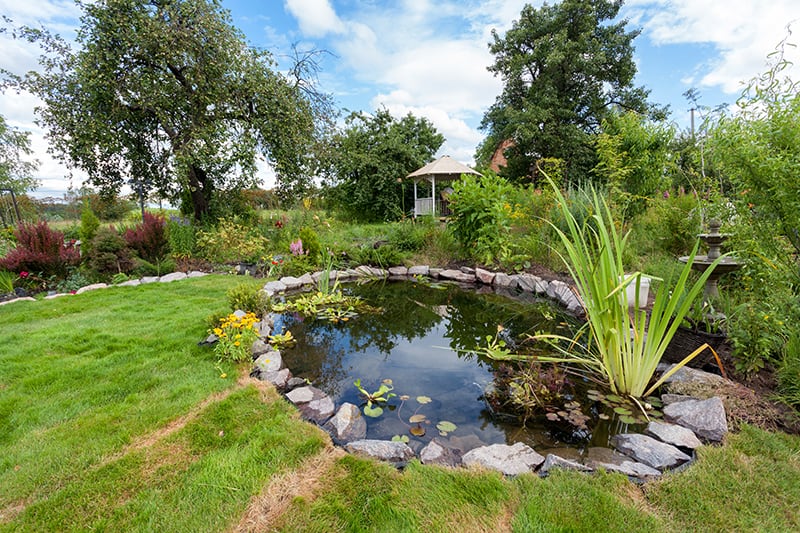 Stone-Lined Pond