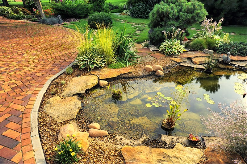 Terracotta Colored Pond