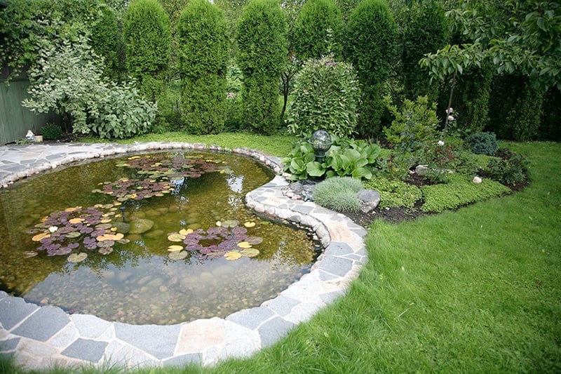 Traditional Structured Pond
