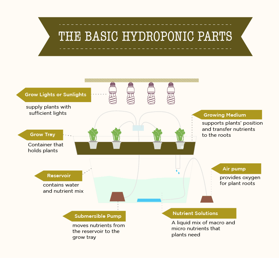 Hydroponic System Components