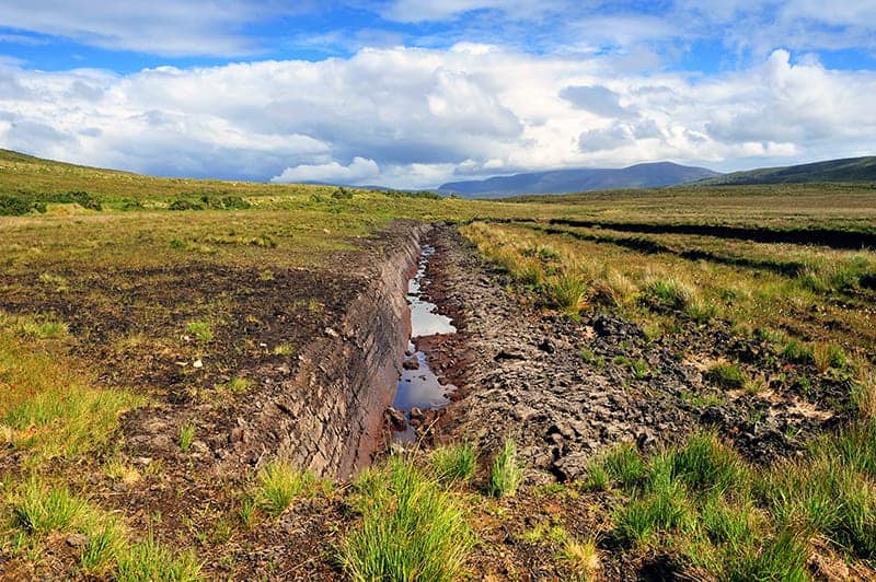 Boggy soil