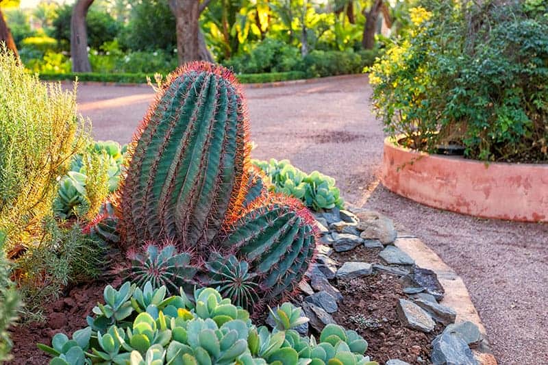 Glowing Red Spines