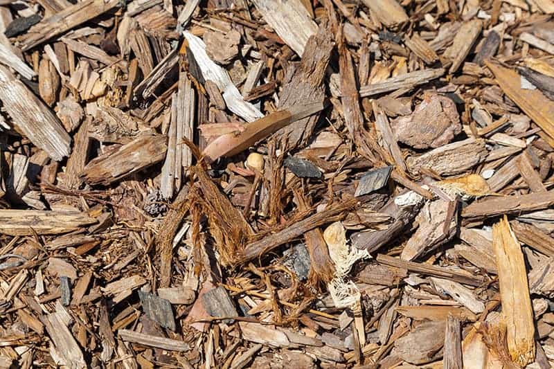 Cedar bark chips in the garden