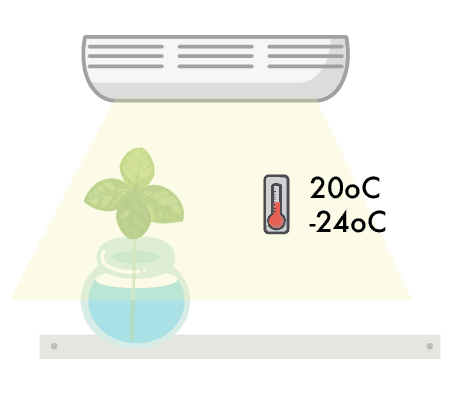 Cloning temperature