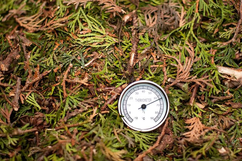 Compost Thermometer - Cate's Garden