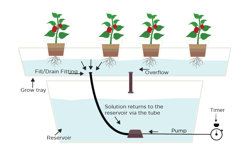 Ebb and Flow timer off