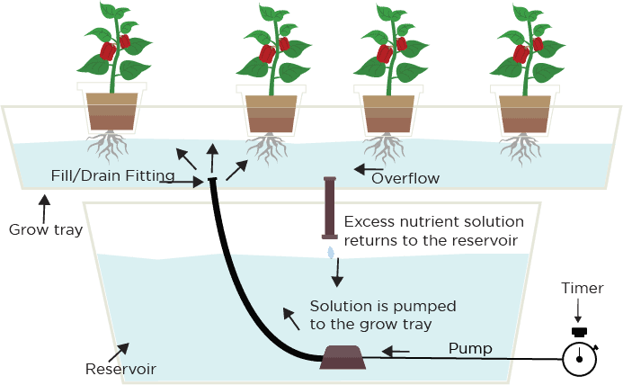 Ebb And Flow Flood And Drain Hydroponic System