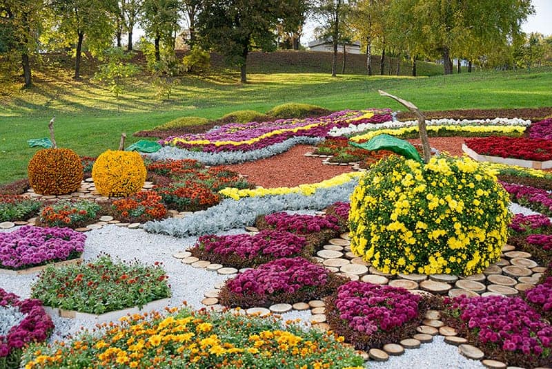 Complex Pattern Flower Bed