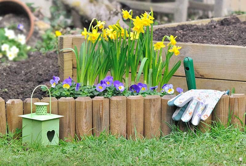 Edging with border Fences