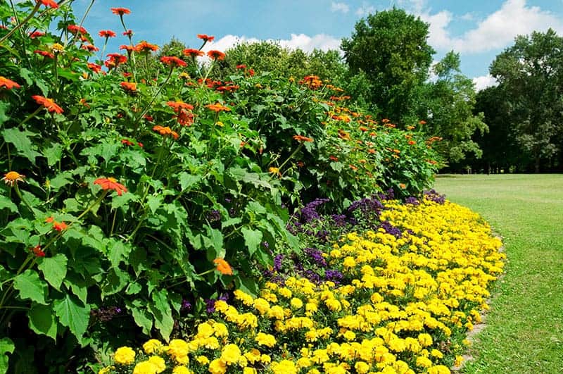 Edging with Flowers