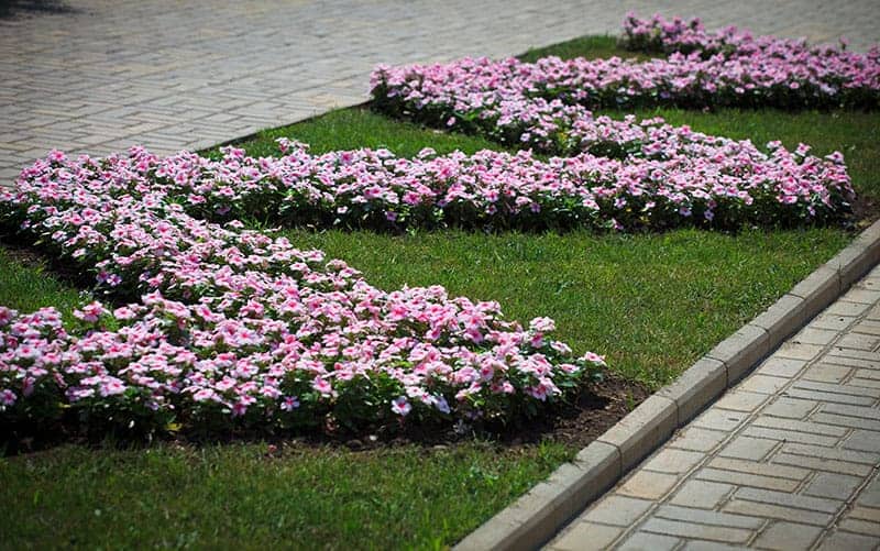 Geometric Pattern Flower Bed