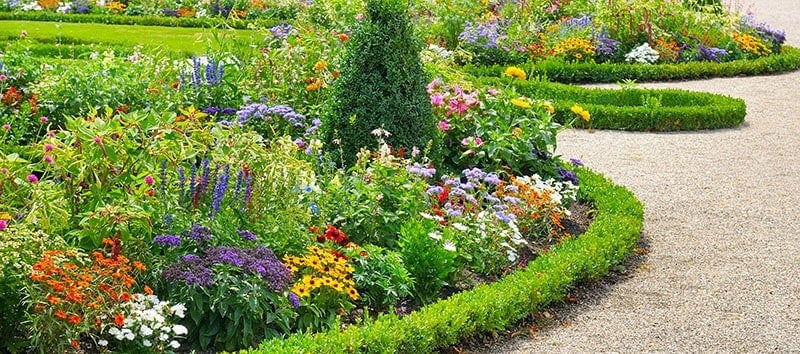 Green Edging and a Wavy Flower Bed