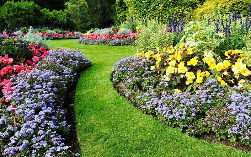 Lawn Occupied By Flower Beds