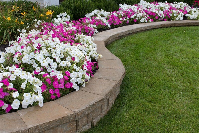 Masonry/Stone Raised Bed