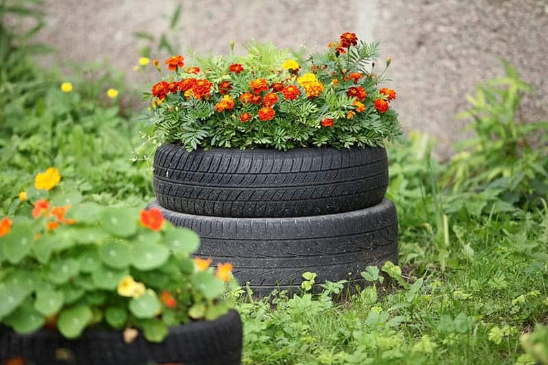 Old Tired Raised Bed