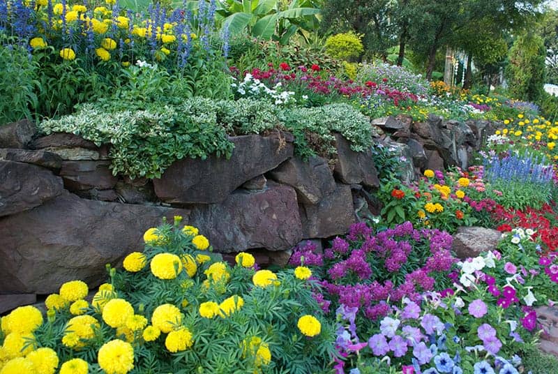 Stone Terraces