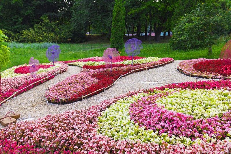 Wave Flower Bed