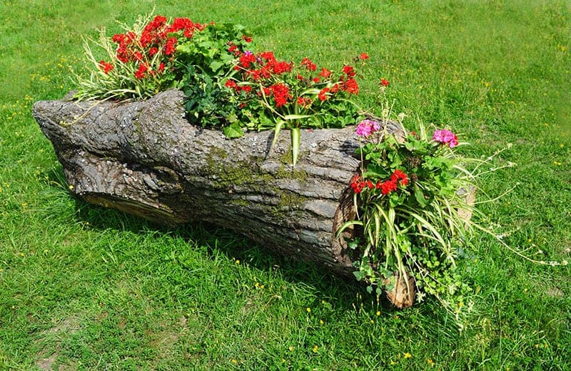 Wood Flower Bed