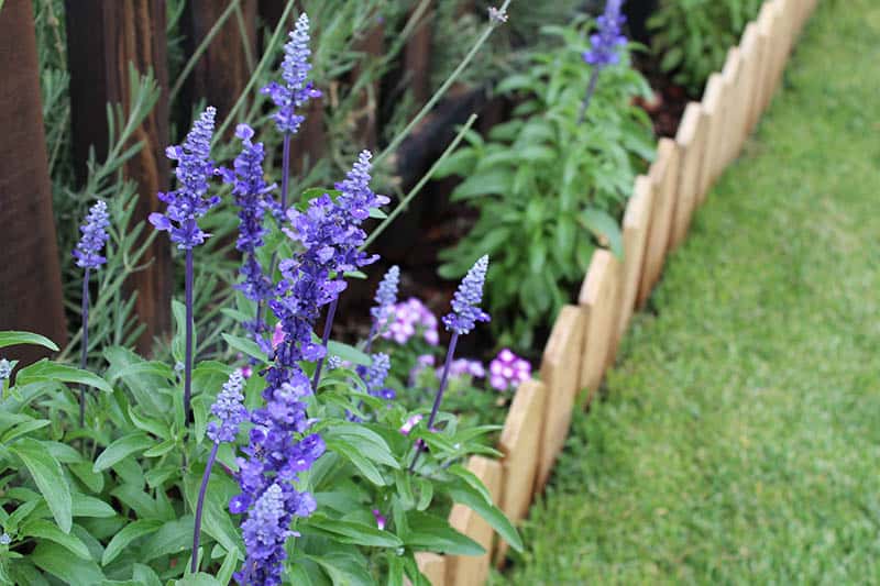 How to Create Perfect Edges for Your Garden Beds and Borders