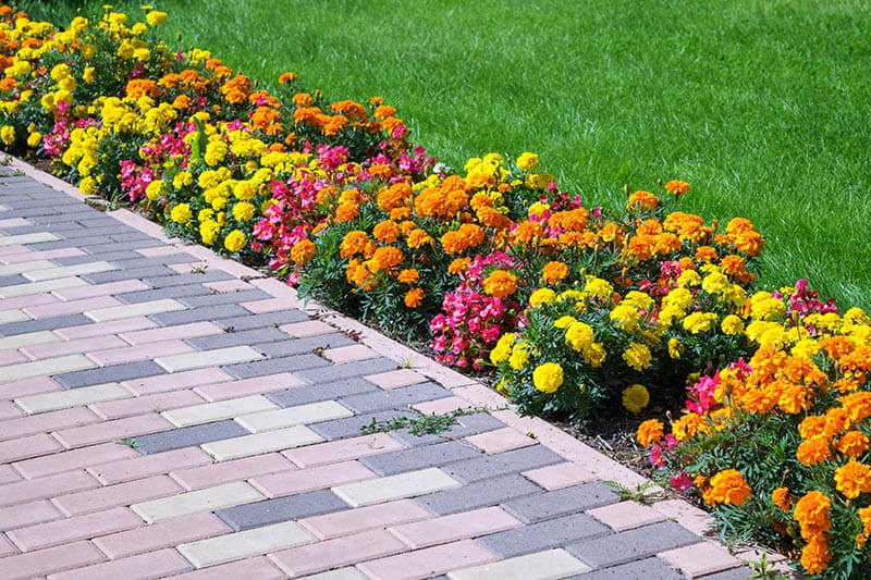 Paved Pattern Path