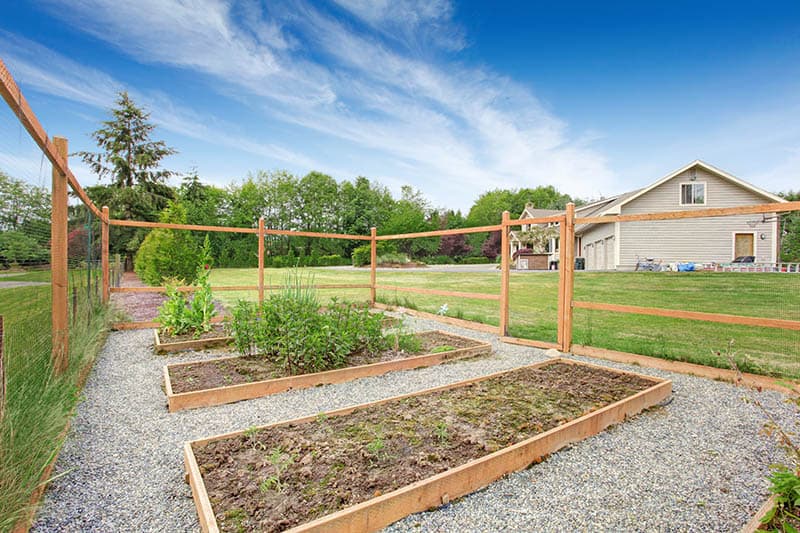 Wood Edged Raised Beds