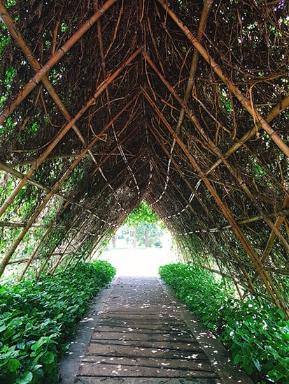 Bamboo Garden Trellis / Simple Pergola