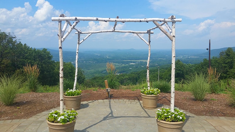 Birch Tree Wedding Trellis