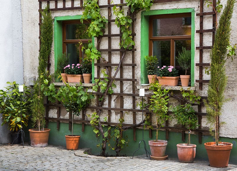 Classic wooden lattice trellis around windows