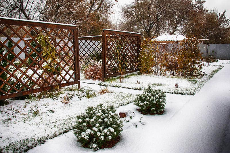 Large Trellis Fence