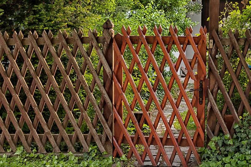 Trellis Fence, 2-in-1