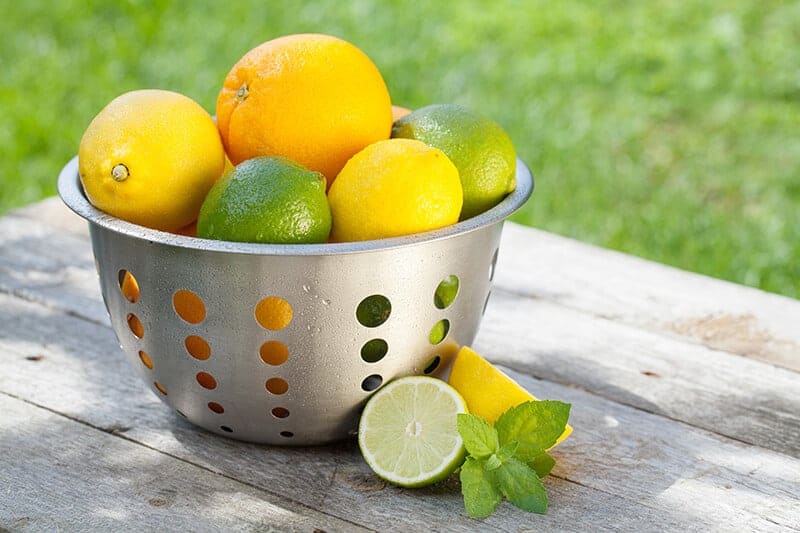 Garden Colander