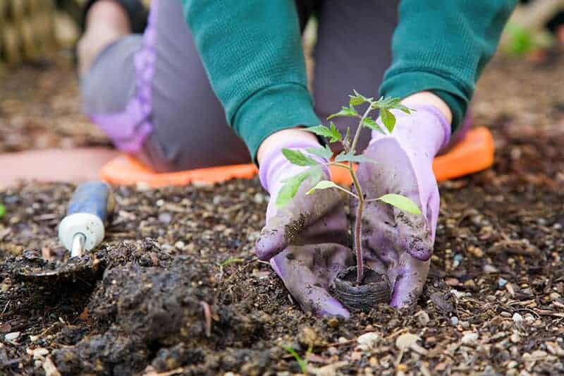 Gardening Gloves