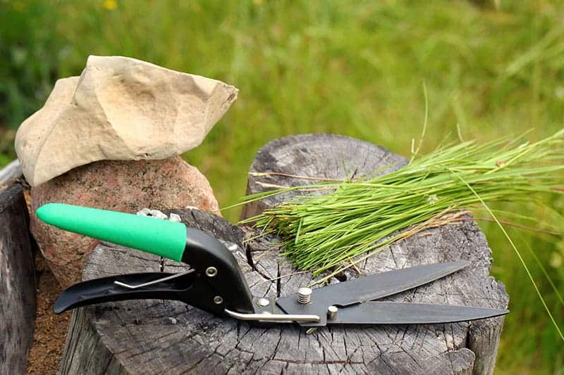 battery powered hand grass clippers