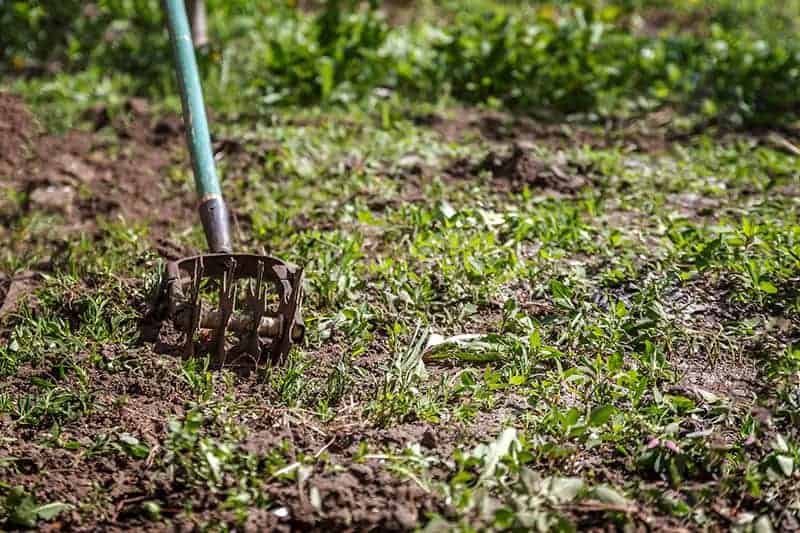 Hand Tiller In The Garden