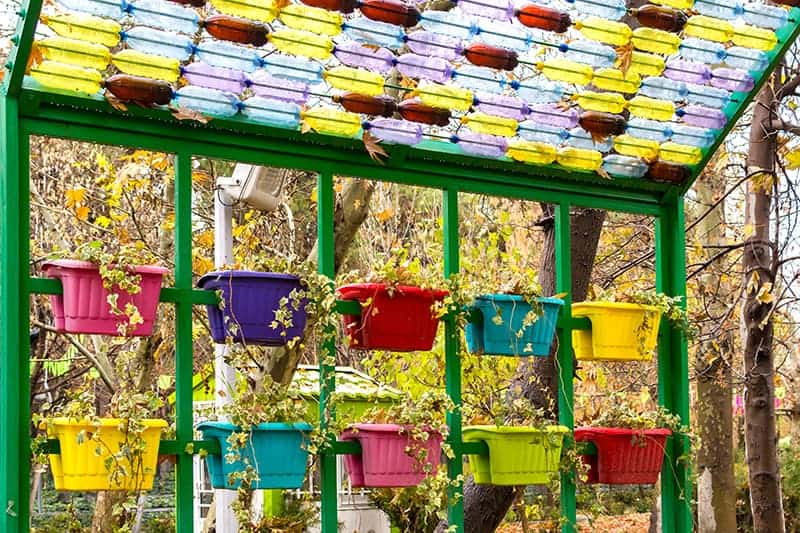 Hanging baskets