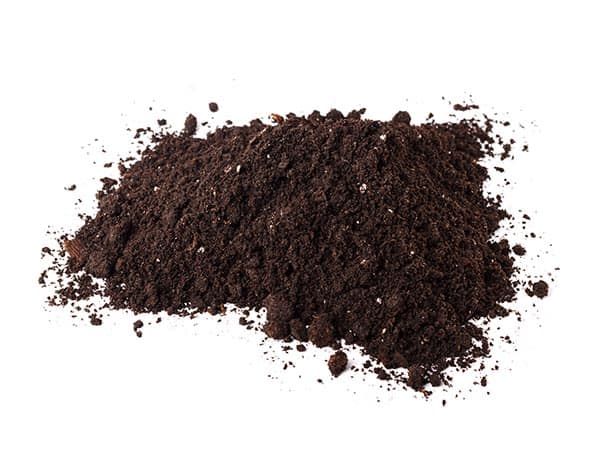 A heap of soil and humus