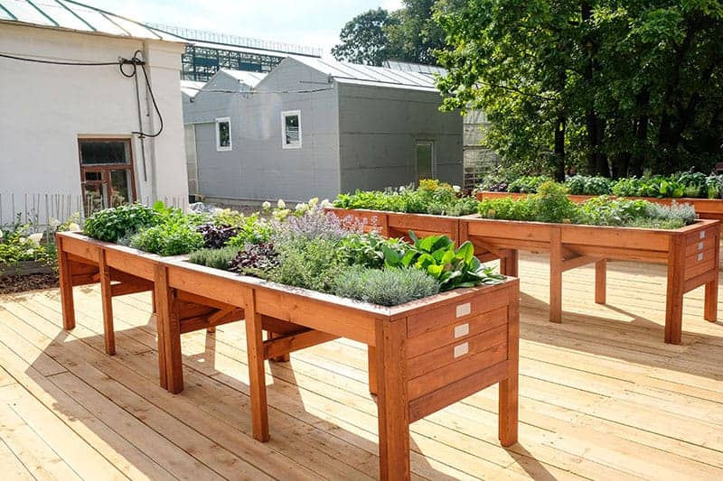 25 Pretty Herb Garden Ideas Trees Com, Herb Garden Table Planter