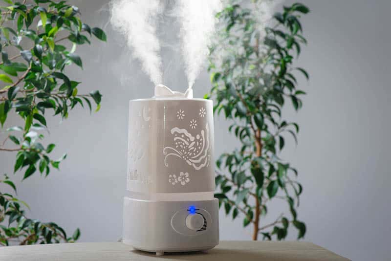 Humidifier indoor